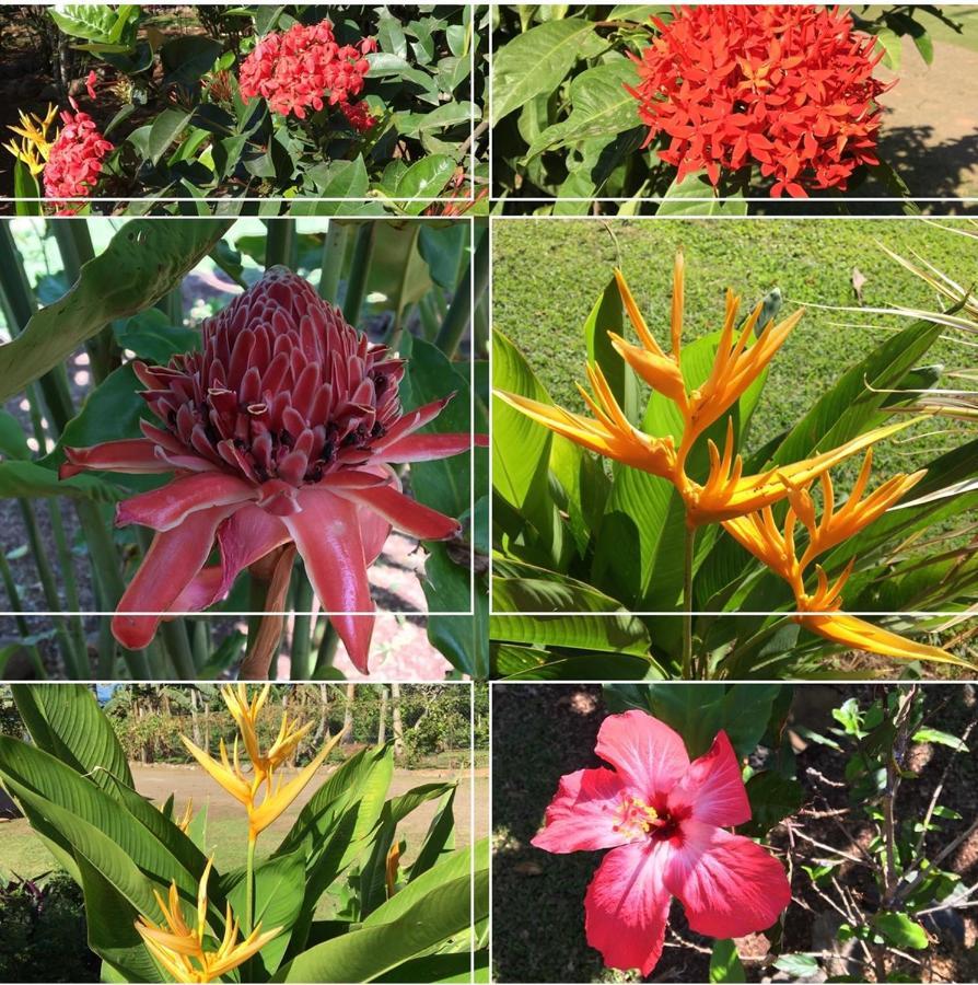 Island Breeze Fiji Villa ซาวูซาวู ภายนอก รูปภาพ