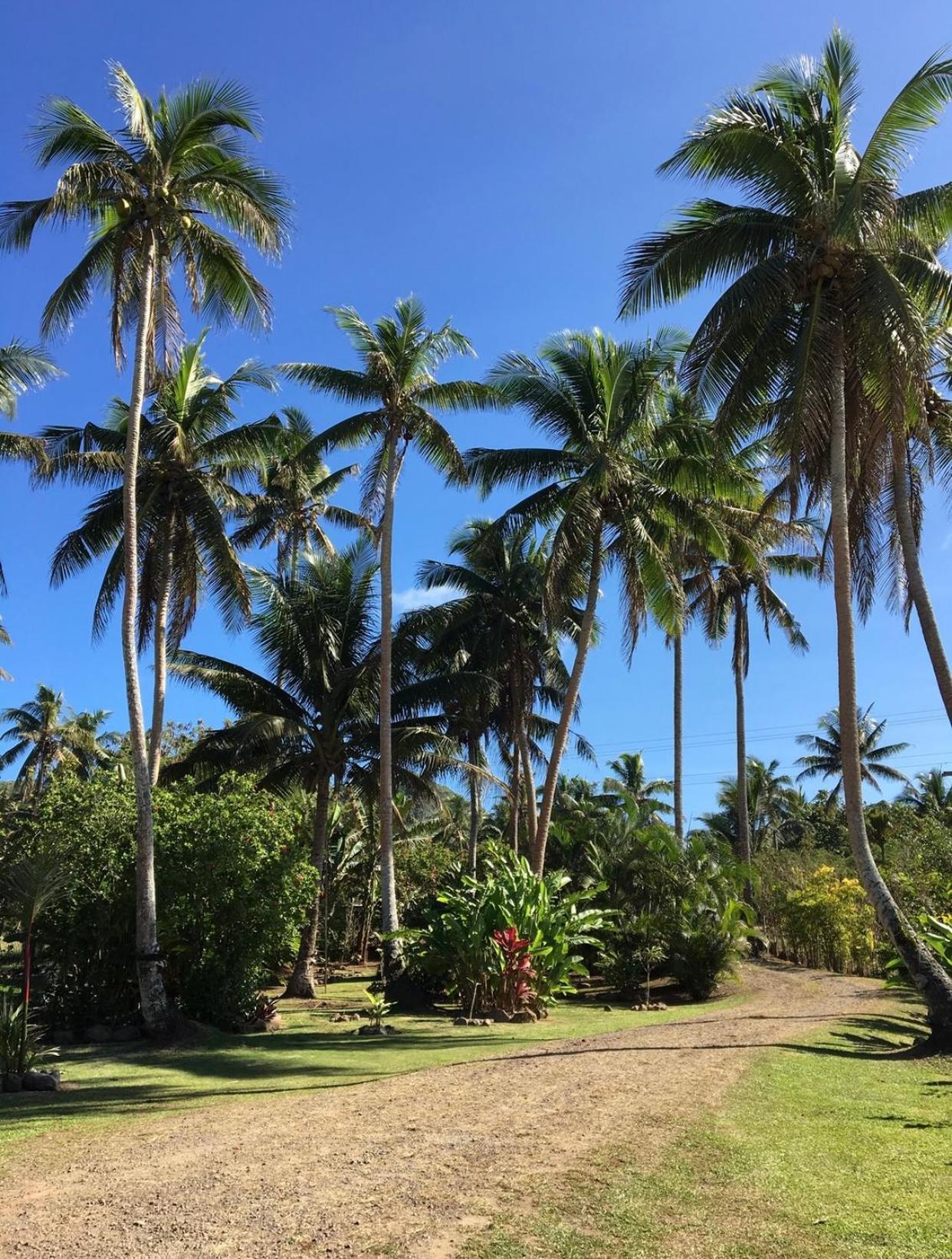 Island Breeze Fiji Villa ซาวูซาวู ห้อง รูปภาพ